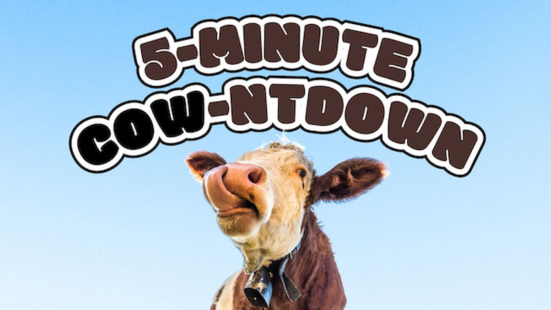5-Minute COW-ntdown!